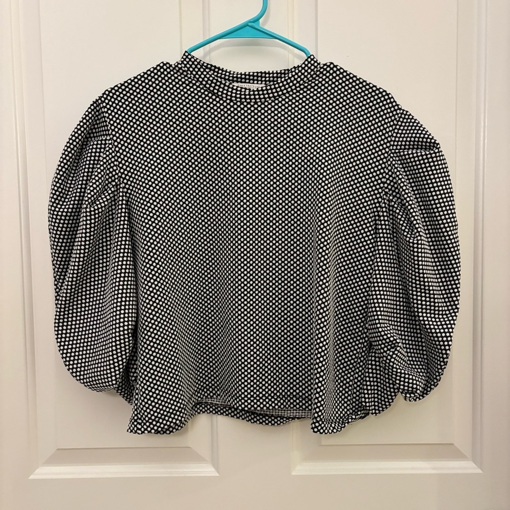 Zara Top with Statement Sleeves